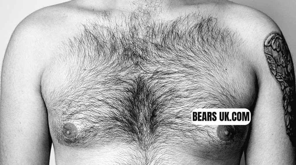 sauna bears, gay bears, bears events, steam complex