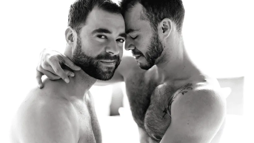 sauna bears, gay sauna, steam complex