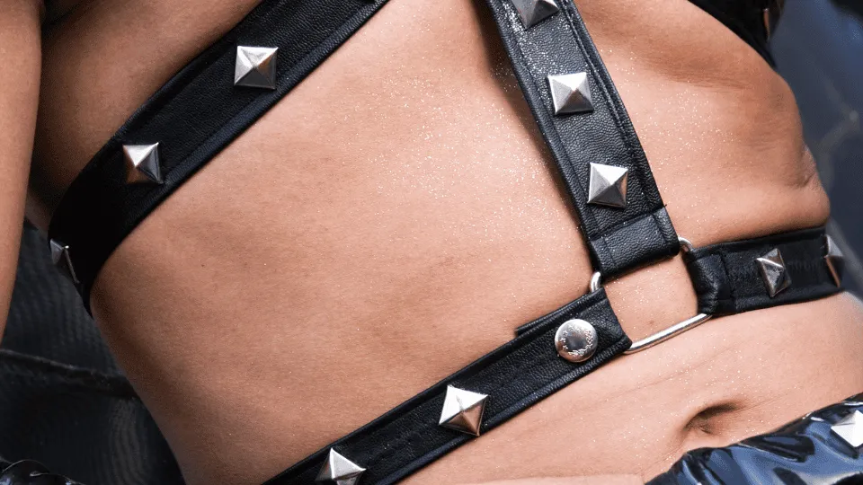 Leather subculture, BDSM, Gay community, Pup play,